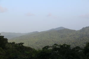El Yunque rainforest